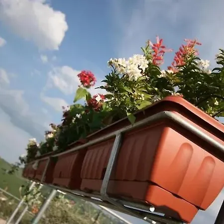 Lilli Beta Bella - Rosso Whispering Vines Neive