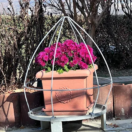 Apartment Lilli Beta Bella - Rosso Whispering Vines