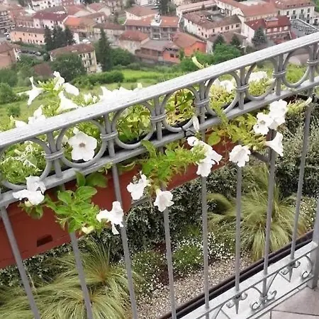 Lilli Beta Bella - Rosso Whispering Vines *