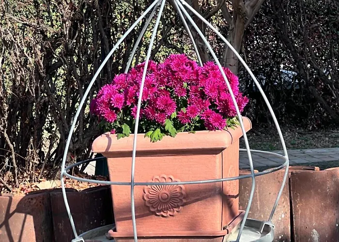 Apartman Lilli Beta Bella - Rosso Whispering Vines